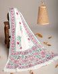 Mul-Cotton Bagru Hand Block Printed Dupatta  - TSPDM10