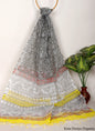 Kota Doriya Dupattas