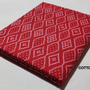 Bagru Pure Cotton Hand Block Printed Fabric – TSPRBK14